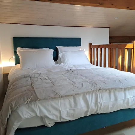 Maisonnette Au Milieu Des Pins