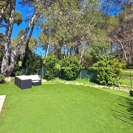 Maisonnette Au Milieu Des Pins *
